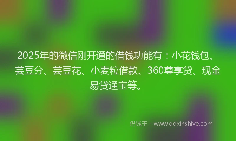 2025年的微信刚开通的借钱功能有：小花钱包、芸豆分、芸豆花、小麦粒借款、360尊享贷、现金易贷通宝等。