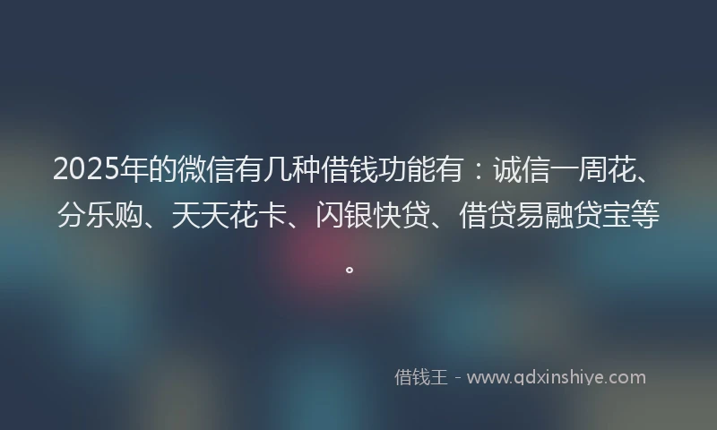 2025年的微信有几种借钱功能有：诚信一周花、分乐购、天天花卡、闪银快贷、借贷易融贷宝等。
