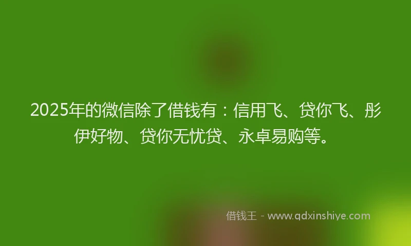 2025年的微信除了借钱有：信用飞、贷你飞、彤伊好物、贷你无忧贷、永卓易购等。