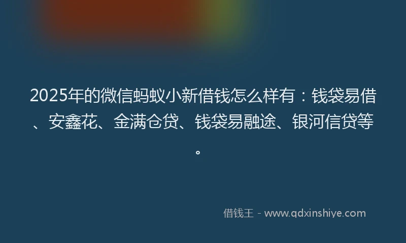 2025年的微信蚂蚁小新借钱怎么样有：钱袋易借、安鑫花、金满仓贷、钱袋易融途、银河信贷等。