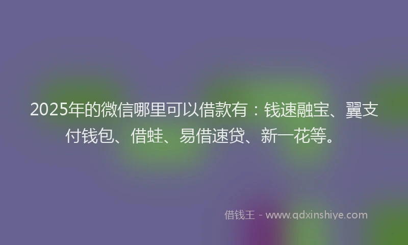 2025年的微信哪里可以借款有：钱速融宝、翼支付钱包、借蛙、易借速贷、新一花等。