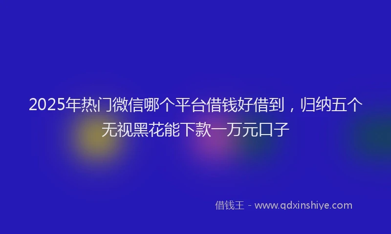 2025年热门微信哪个平台借钱好借到，归纳五个无视黑花能下款一万元口子