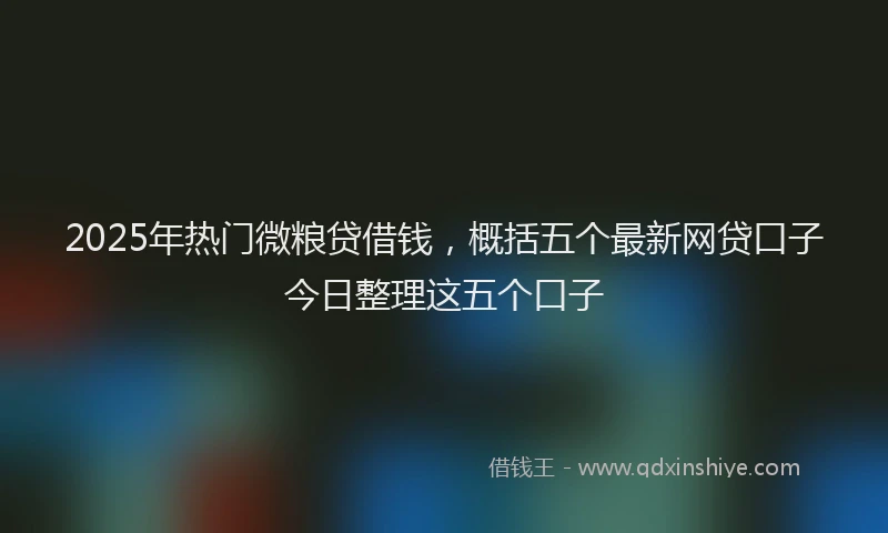 2025年热门微粮贷借钱，概括五个最新网贷口子今日整理这五个口子