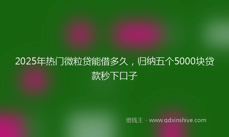 2025年热门微粒贷能借多久，归纳五个5000块贷款秒下口子