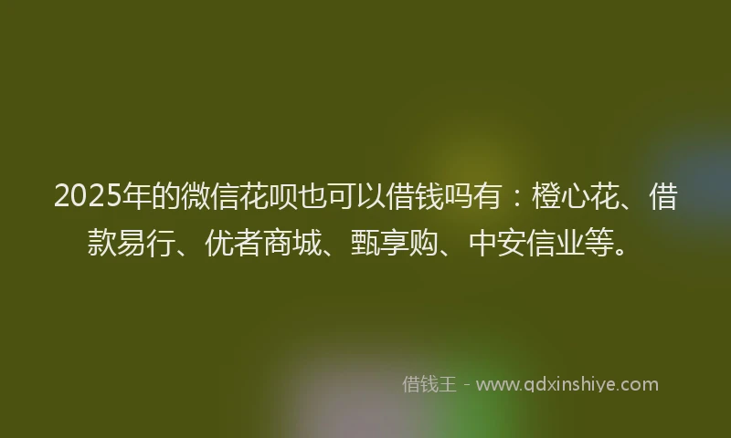 2025年的微信花呗也可以借钱吗有：橙心花、借款易行、优者商城、甄享购、中安信业等。