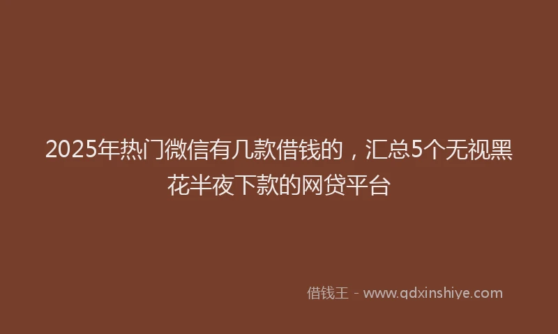 2025年热门微信有几款借钱的，汇总5个无视黑花半夜下款的网贷平台
