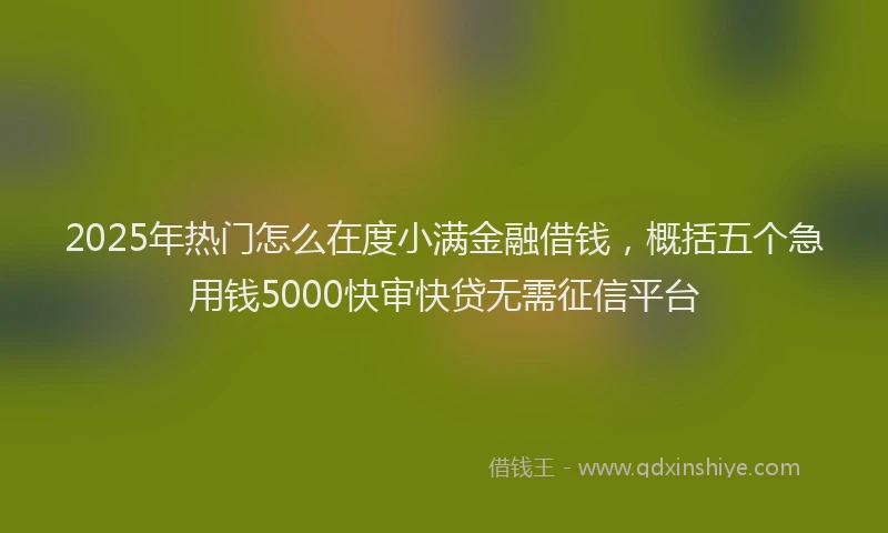 2025年热门怎么在度小满金融借钱，概括五个急用钱5000快审快贷无需征信平台
