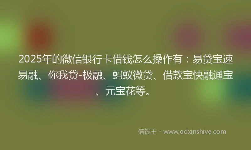 2025年的微信银行卡借钱怎么操作有：易贷宝速易融、你我贷-极融、蚂蚁微贷、借款宝快融通宝、元宝花等。
