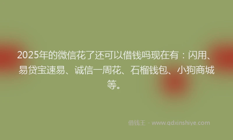 2025年的微信花了还可以借钱吗现在有：闪用、易贷宝速易、诚信一周花、石榴钱包、小狗商城等。