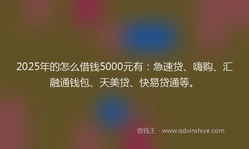 2025年的怎么借钱5000元有：急速贷、嗨购、汇融通钱包、天美贷、快易贷通等。
