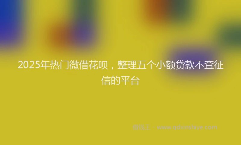 2025年热门微借花呗，整理五个小额贷款不查征信的平台