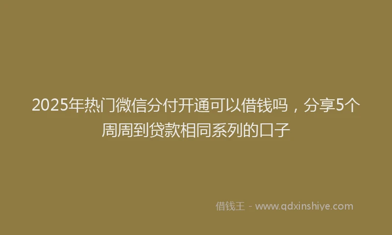 2025年热门微信分付开通可以借钱吗，分享5个周周到贷款相同系列的口子