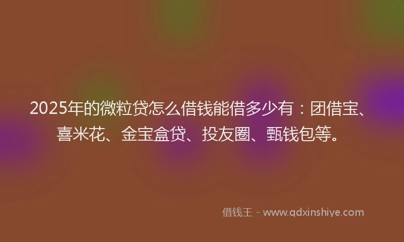 2025年的微粒贷怎么借钱能借多少有：团借宝、喜米花、金宝盒贷、投友圈、甄钱包等。