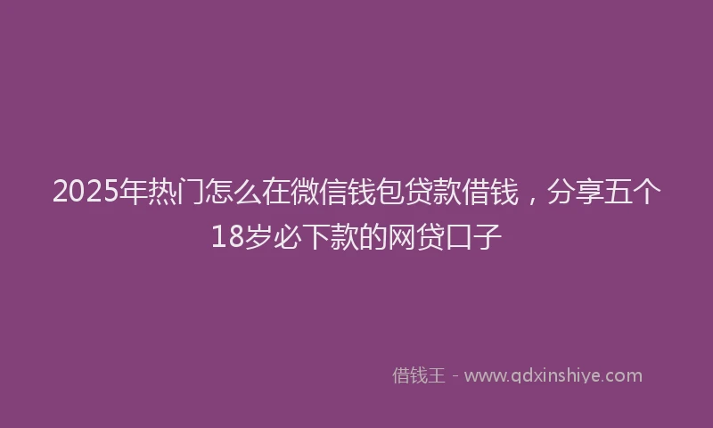 2025年热门怎么在微信钱包贷款借钱，分享五个18岁必下款的网贷口子