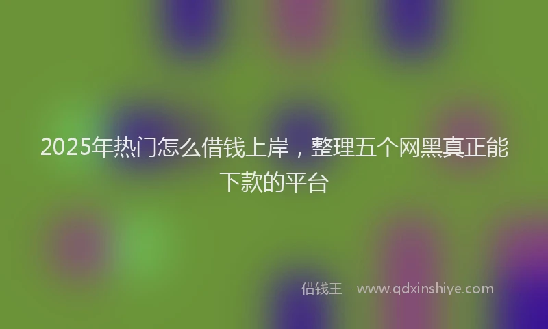 2025年热门怎么借钱上岸，整理五个网黑真正能下款的平台