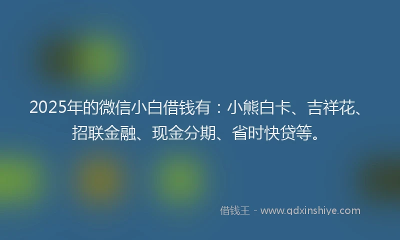 2025年的微信小白借钱有：小熊白卡、吉祥花、招联金融、现金分期、省时快贷等。