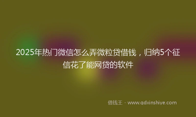 2025年热门微信怎么弄微粒贷借钱，归纳5个征信花了能网贷的软件