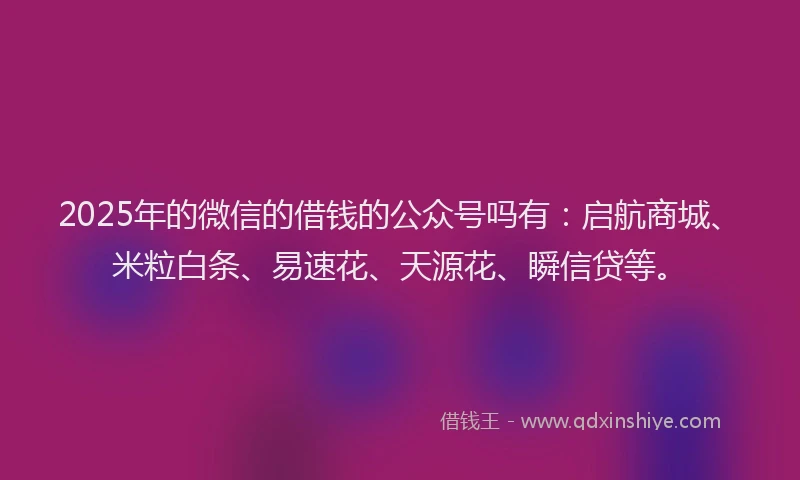 2025年的微信的借钱的公众号吗有：启航商城、米粒白条、易速花、天源花、瞬信贷等。