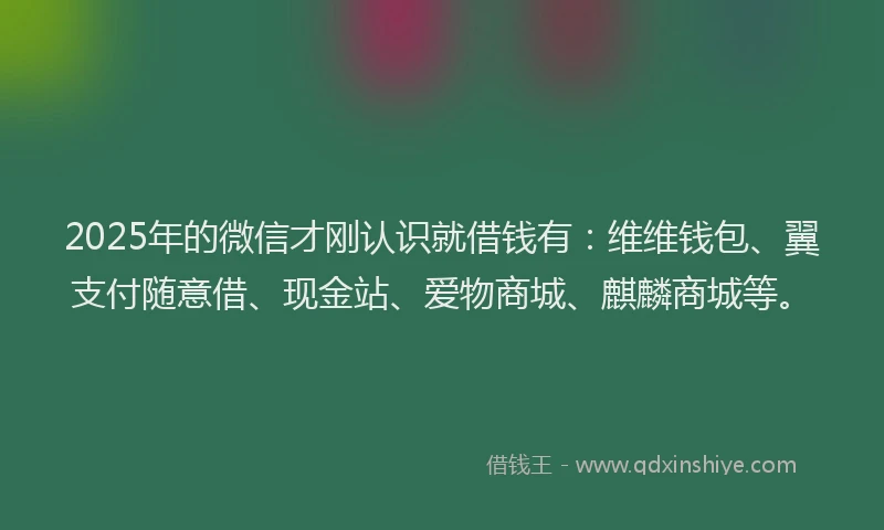 2025年的微信才刚认识就借钱有：维维钱包、翼支付随意借、现金站、爱物商城、麒麟商城等。