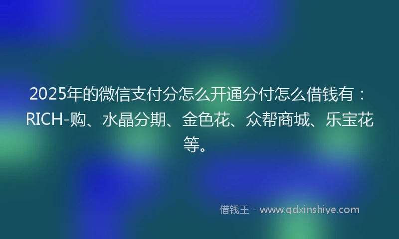 2025年的微信支付分怎么开通分付怎么借钱有：RICH-购、水晶分期、金色花、众帮商城、乐宝花等。