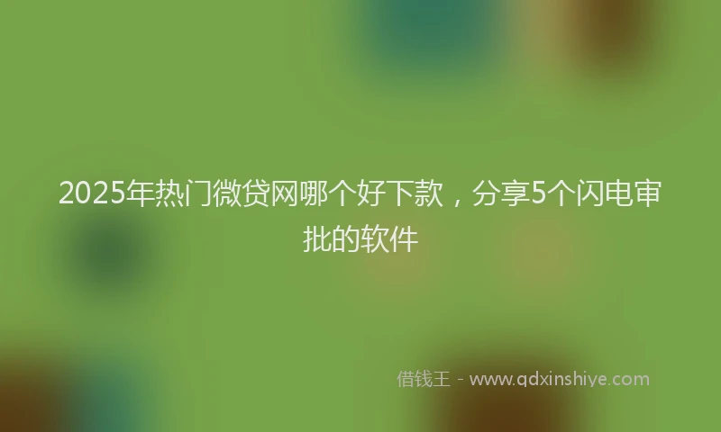 2025年热门微贷网哪个好下款，分享5个闪电审批的软件