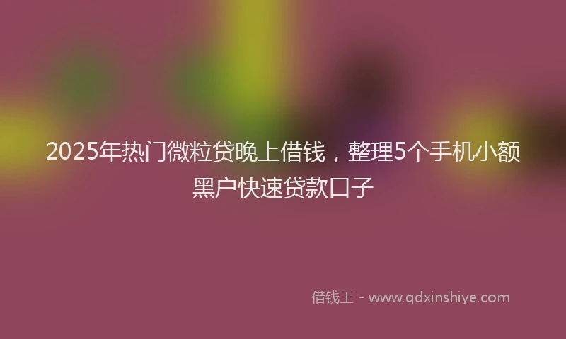 2025年热门微粒贷晚上借钱，整理5个手机小额黑户快速贷款口子
