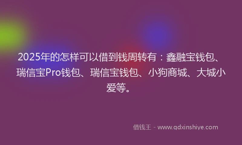 2025年的怎样可以借到钱周转有：鑫融宝钱包、瑞信宝Pro钱包、瑞信宝钱包、小狗商城、大城小爱等。