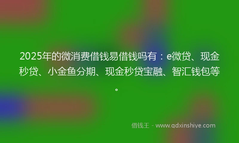 2025年的微消费借钱易借钱吗有：e微贷、现金秒贷、小金鱼分期、现金秒贷宝融、智汇钱包等。
