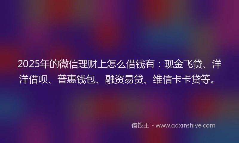 2025年的微信理财上怎么借钱有：现金飞贷、洋洋借呗、普惠钱包、融资易贷、维信卡卡贷等。
