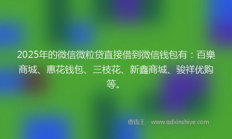 2025年的微信微粒贷直接借到微信钱包有：百樂商城、惠花钱包、三枝花、新鑫商城、骏祥优购等。