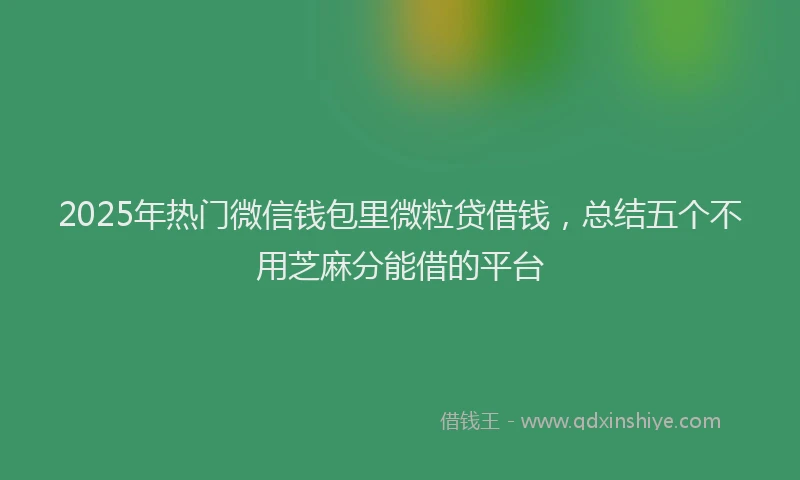 2025年热门微信钱包里微粒贷借钱，总结五个不用芝麻分能借的平台