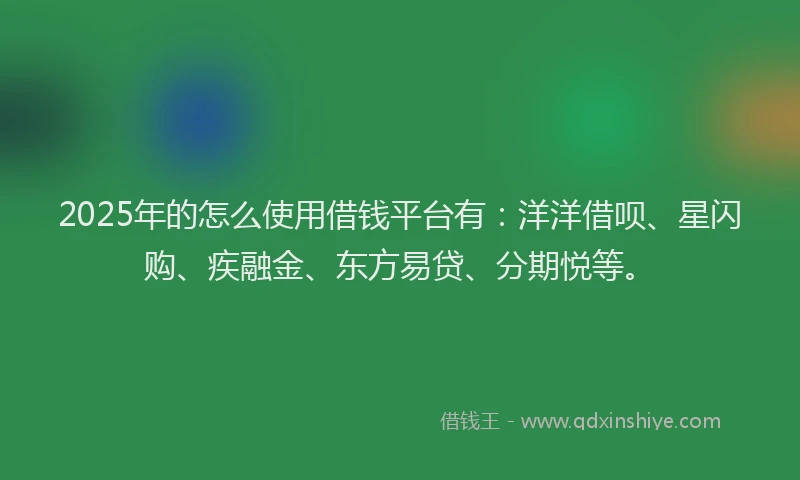 2025年的怎么使用借钱平台有：洋洋借呗、星闪购、疾融金、东方易贷、分期悦等。