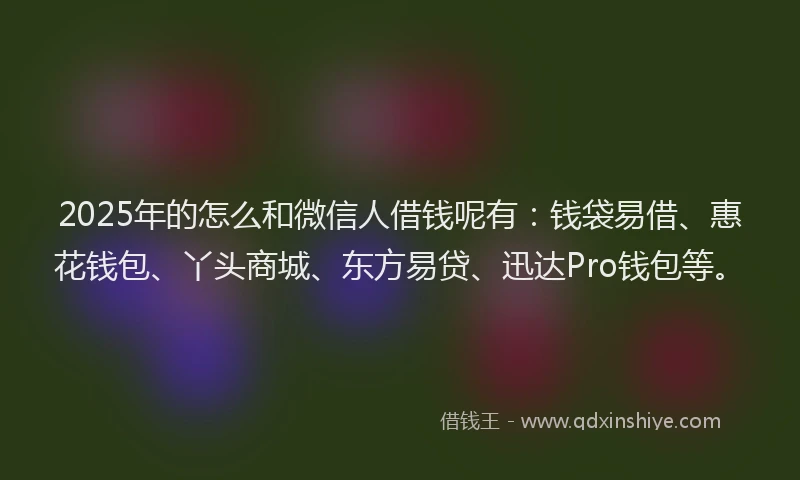 2025年的怎么和微信人借钱呢有:钱袋易借、惠花钱包、丫头商城、东方易贷、迅达Pro钱包等。