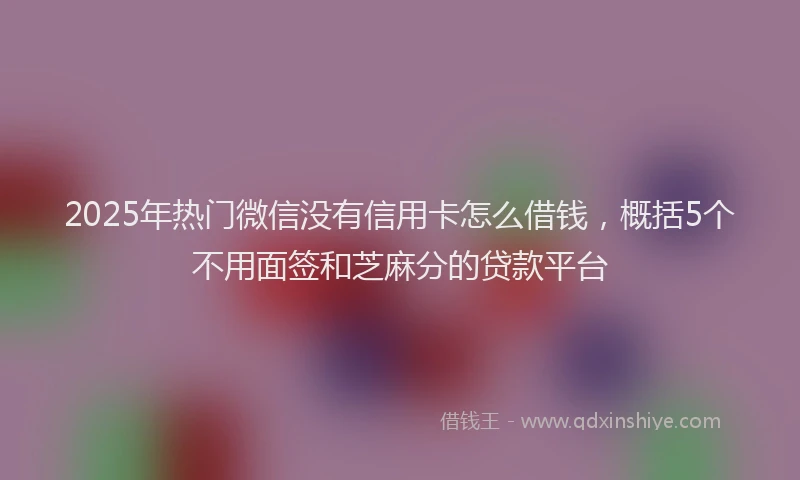 2025年热门微信没有信用卡怎么借钱，概括5个不用面签和芝麻分的贷款平台