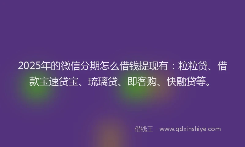 2025年的微信分期怎么借钱提现有：粒粒贷、借款宝速贷宝、琉璃贷、即客购、快融贷等。