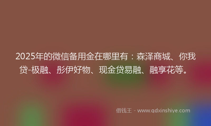 2025年的微信备用金在哪里有：森泽商城、你我贷-极融、彤伊好物、现金贷易融、融享花等。