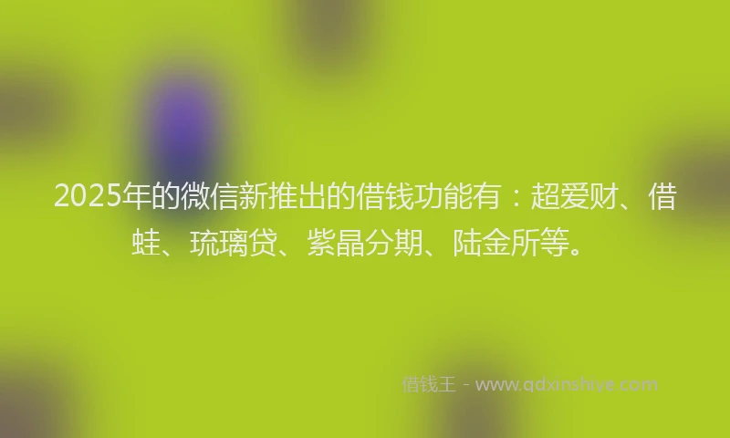 2025年的微信新推出的借钱功能有：超爱财、借蛙、琉璃贷、紫晶分期、陆金所等。
