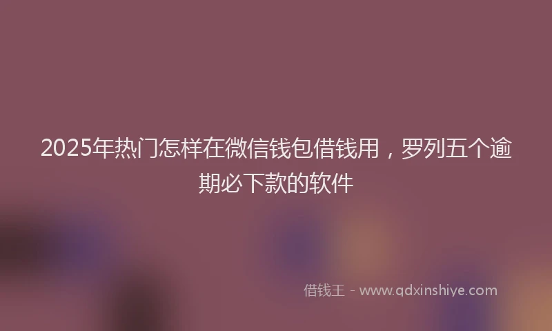 2025年热门怎样在微信钱包借钱用，罗列五个逾期必下款的软件