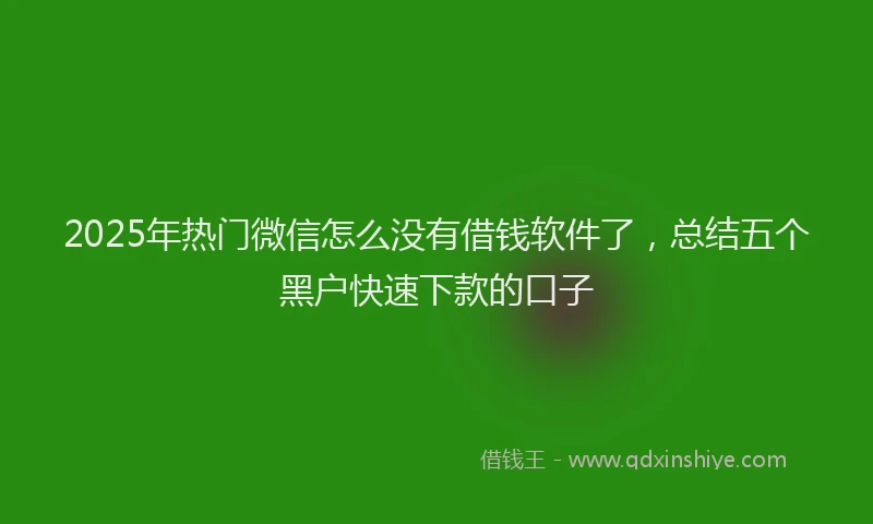 2025年热门微信怎么没有借钱软件了，总结五个黑户快速下款的口子