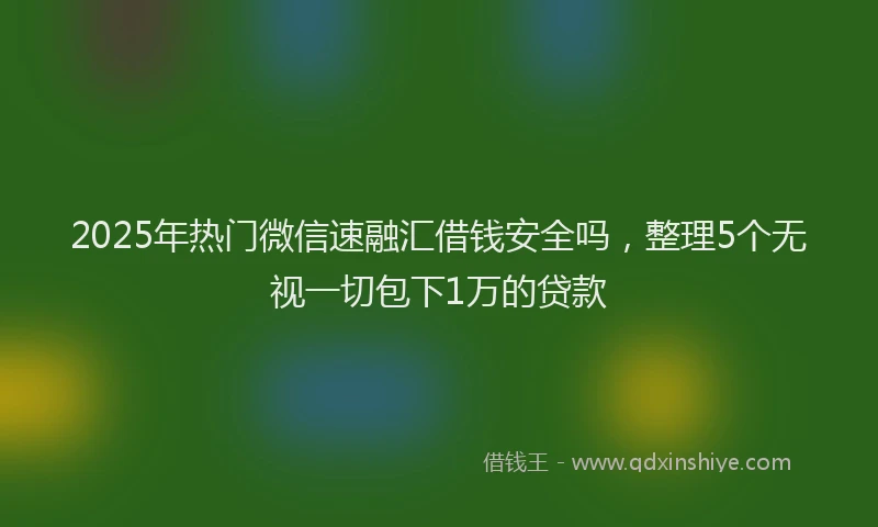 2025年热门微信速融汇借钱安全吗，整理5个无视一切包下1万的贷款
