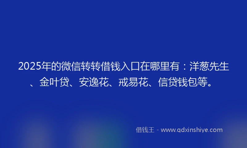 2025年的微信转转借钱入口在哪里有：洋葱先生、金叶贷、安逸花、戒易花、信贷钱包等。