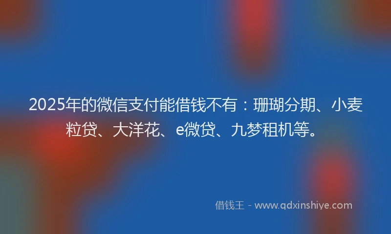 2025年的微信支付能借钱不有：珊瑚分期、小麦粒贷、大洋花、e微贷、九梦租机等。