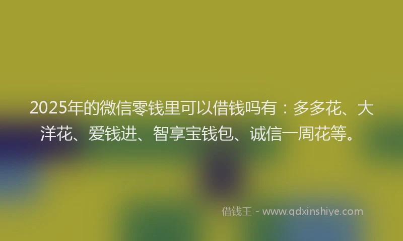 2025年的微信零钱里可以借钱吗有：多多花、大洋花、爱钱进、智享宝钱包、诚信一周花等。