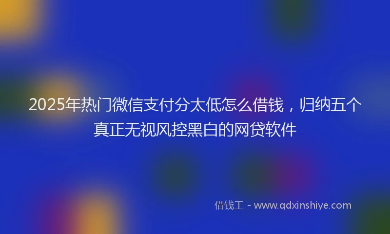 2025年热门微信支付分太低怎么借钱，归纳五个真正无视风控黑白的网贷软件