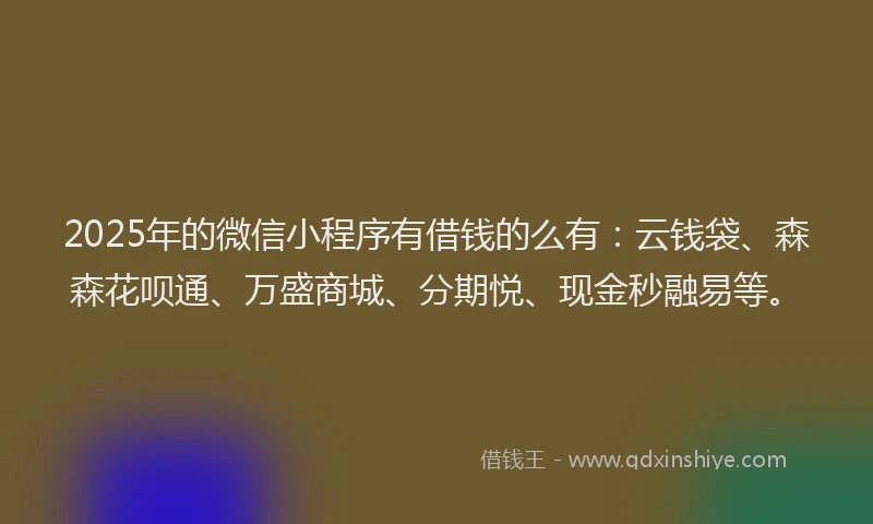 2025年的微信小程序有借钱的么有：云钱袋、森森花呗通、万盛商城、分期悦、现金秒融易等。