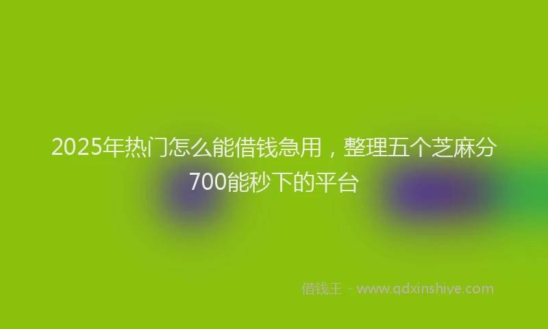 2025年热门怎么能借钱急用，整理五个芝麻分700能秒下的平台
