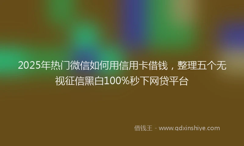 2025年热门微信如何用信用卡借钱，整理五个无视征信黑白100%秒下网贷平台