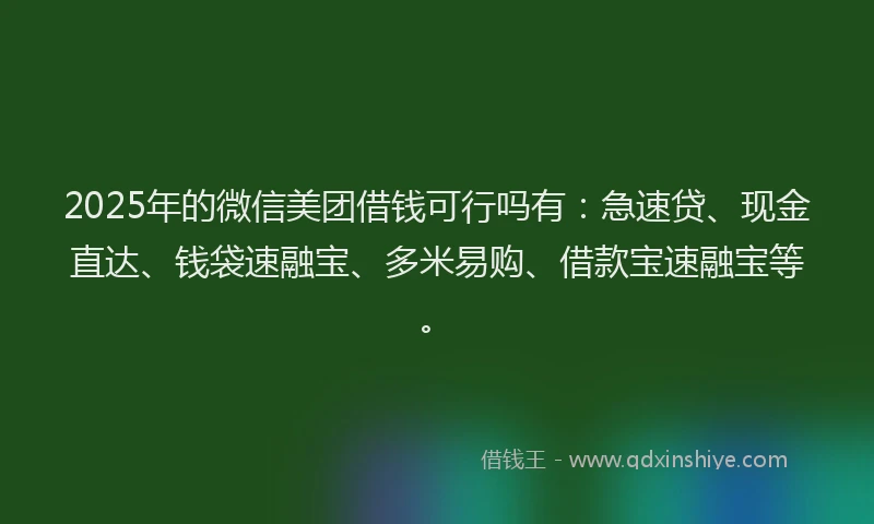 2025年的微信美团借钱可行吗有:急速贷、现金直达、钱袋速融宝、多米易购、借款宝速融宝等。