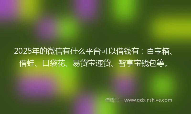 2025年的微信有什么平台可以借钱有：百宝箱、借蛙、口袋花、易贷宝速贷、智享宝钱包等。