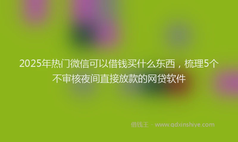 2025年热门微信可以借钱买什么东西，梳理5个不审核夜间直接放款的网贷软件
